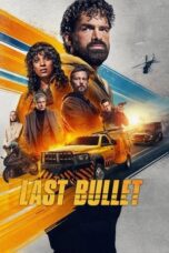 Lost Bullet 3 (2025)